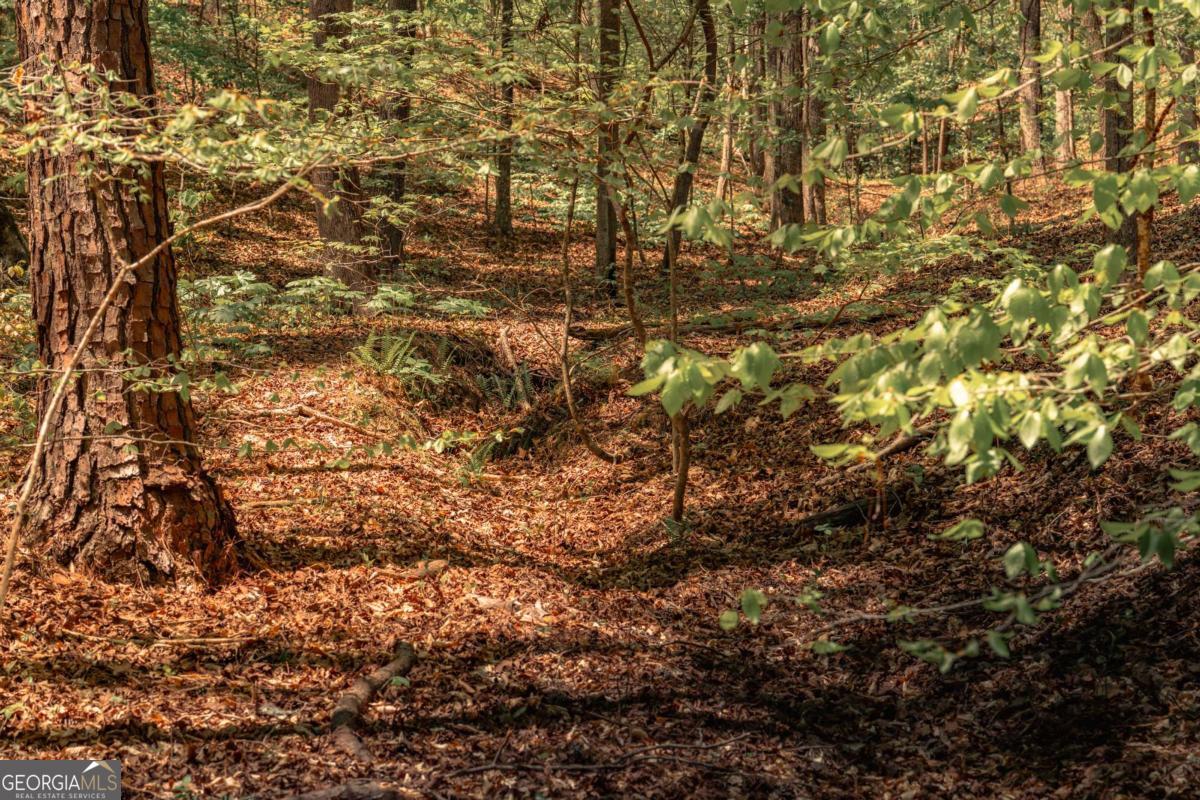 0 Hancock Mountain Trail Waleska GA 30183