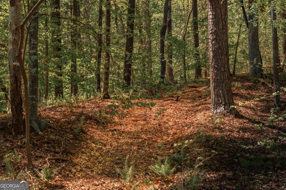 0 Hancock Mountain Trail Waleska GA 30183