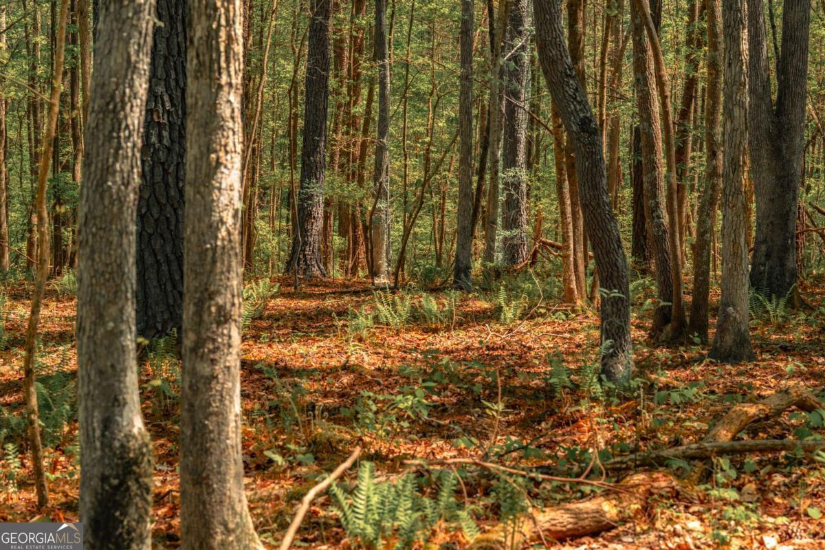 0 Hancock Mountain Trail Waleska GA 30183