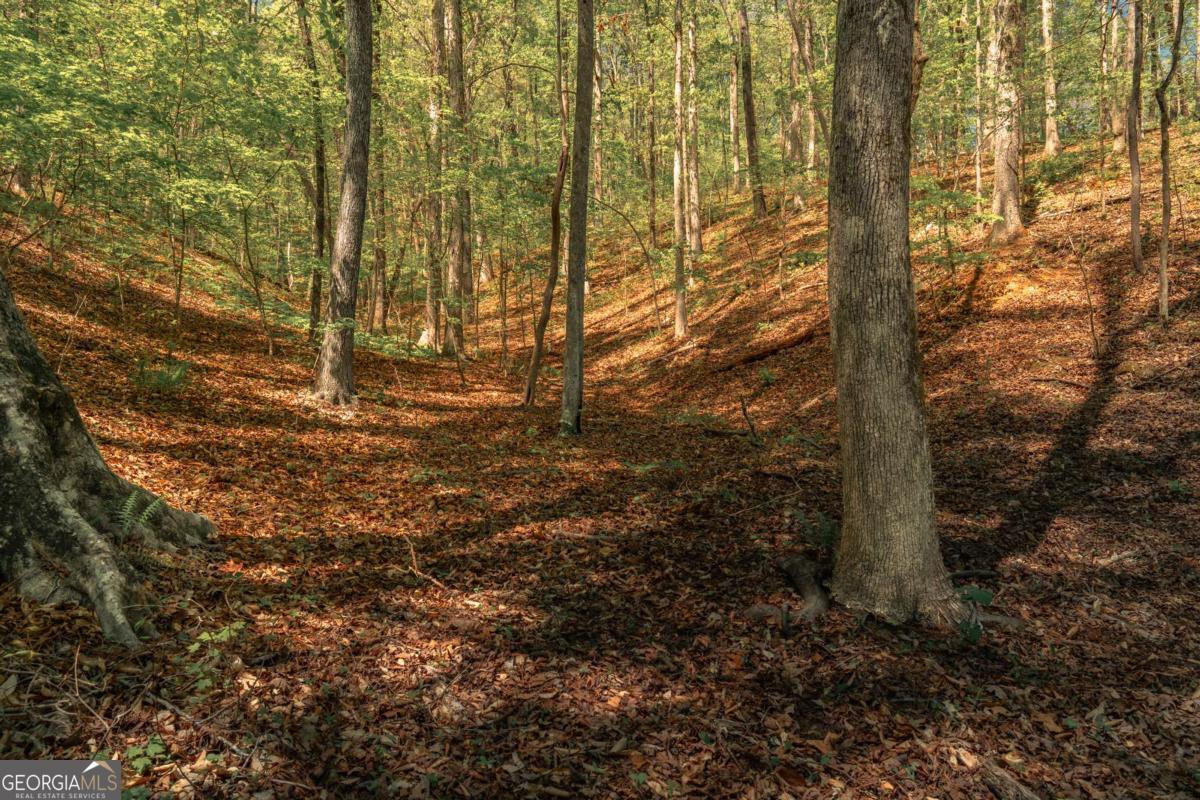 0 Hancock Mountain Trail Waleska GA 30183