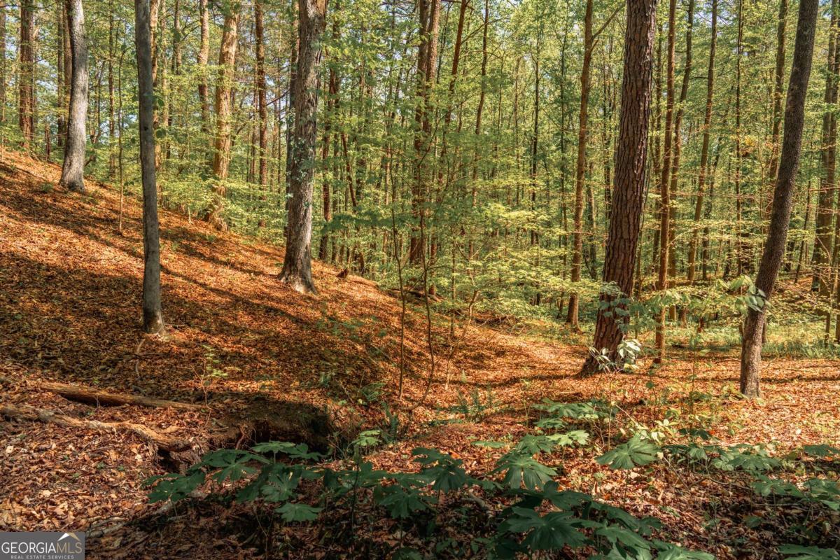 0 Hancock Mountain Trail Waleska GA 30183