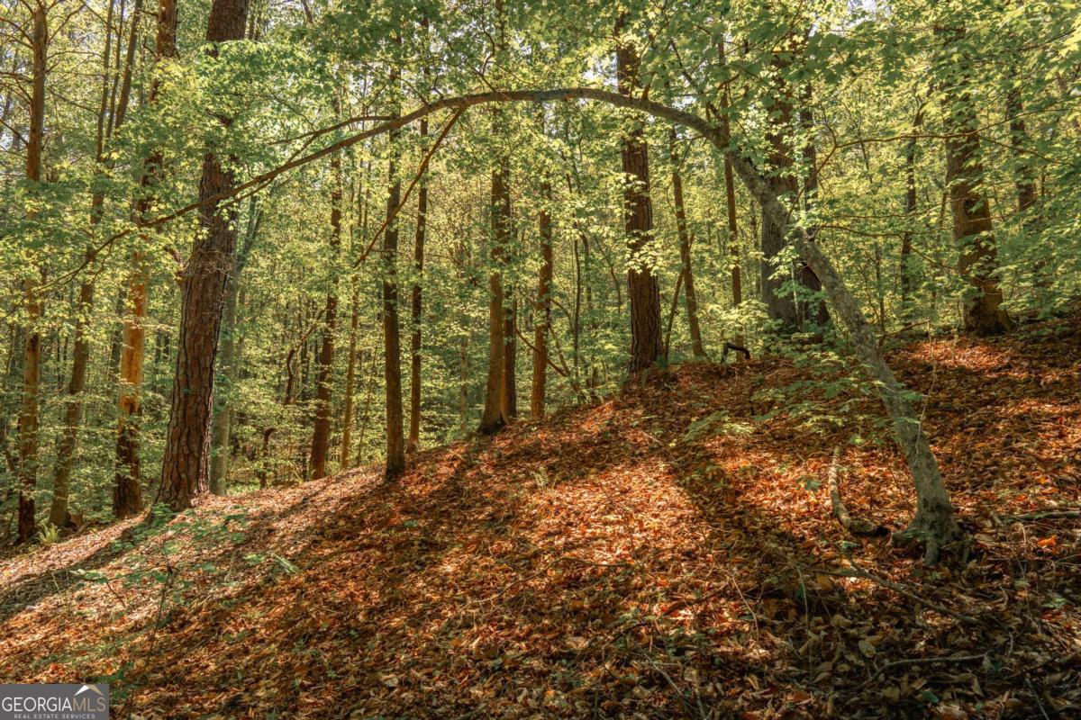 0 Hancock Mountain Trail Waleska GA 30183