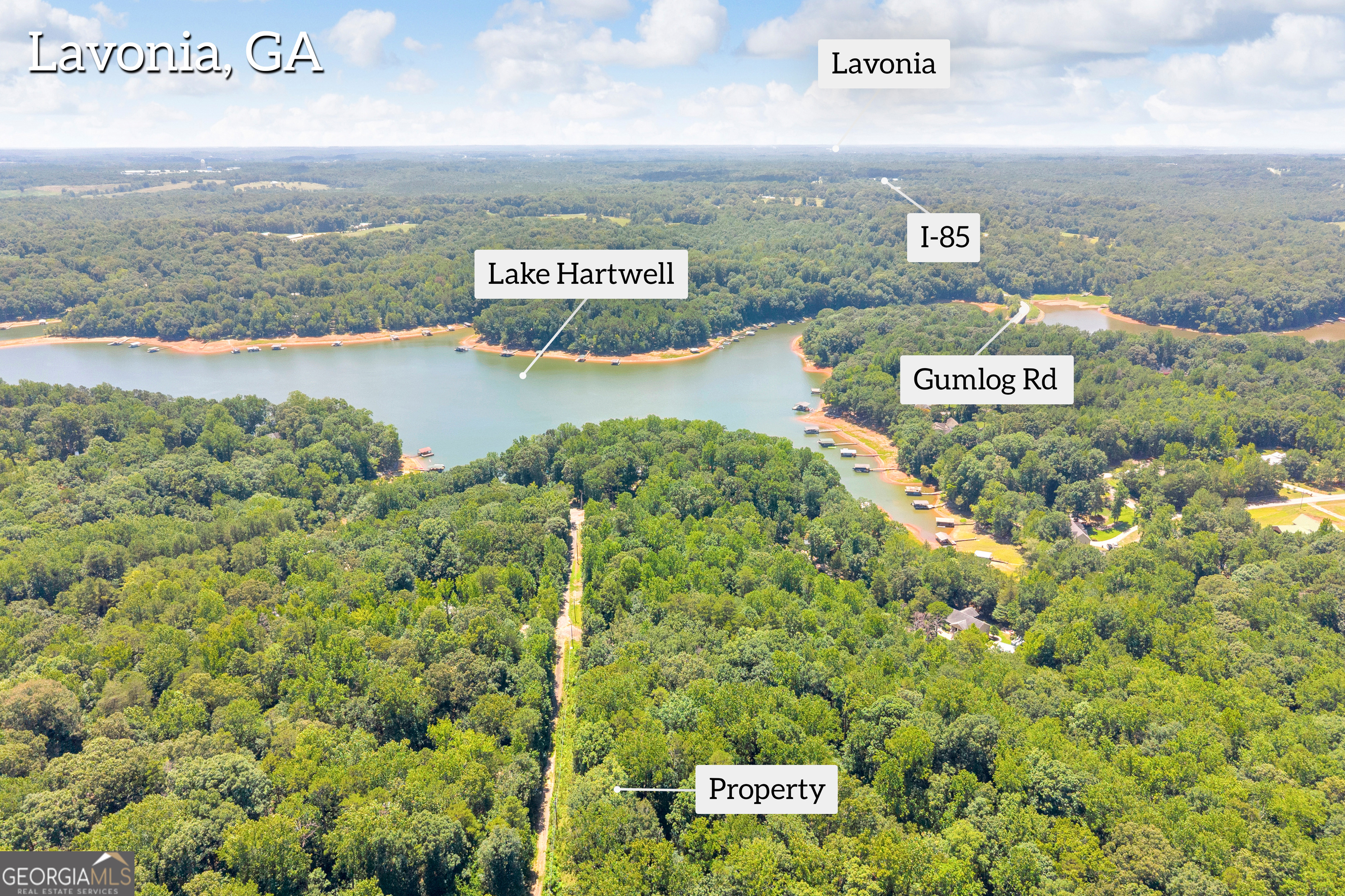 0 De La Taix Drive Lavonia GA 30553