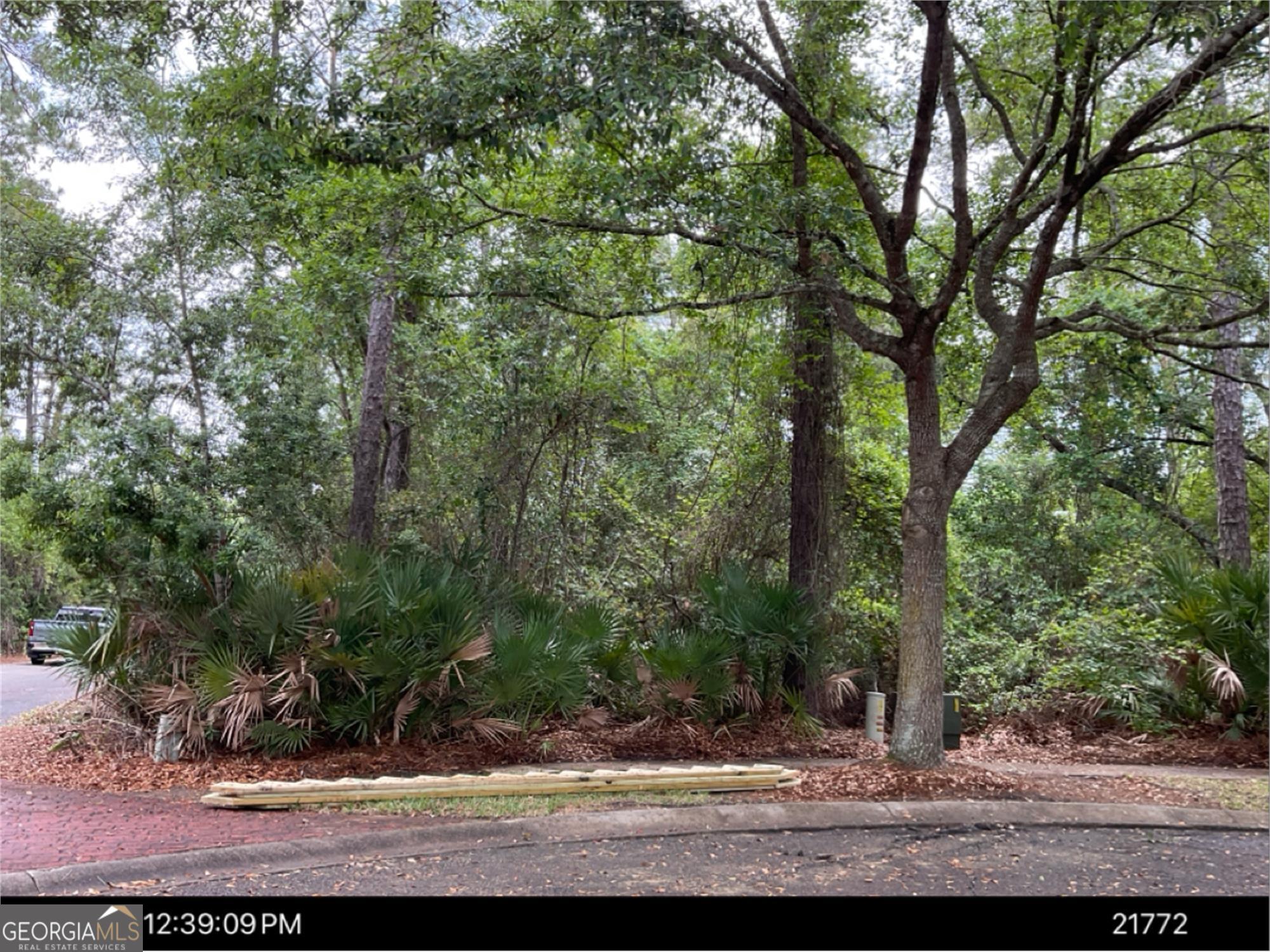 703 Wahoo Court St. Marys GA 31558