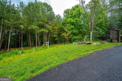 0 Roaring Forks Lane East Ellijay GA 30540