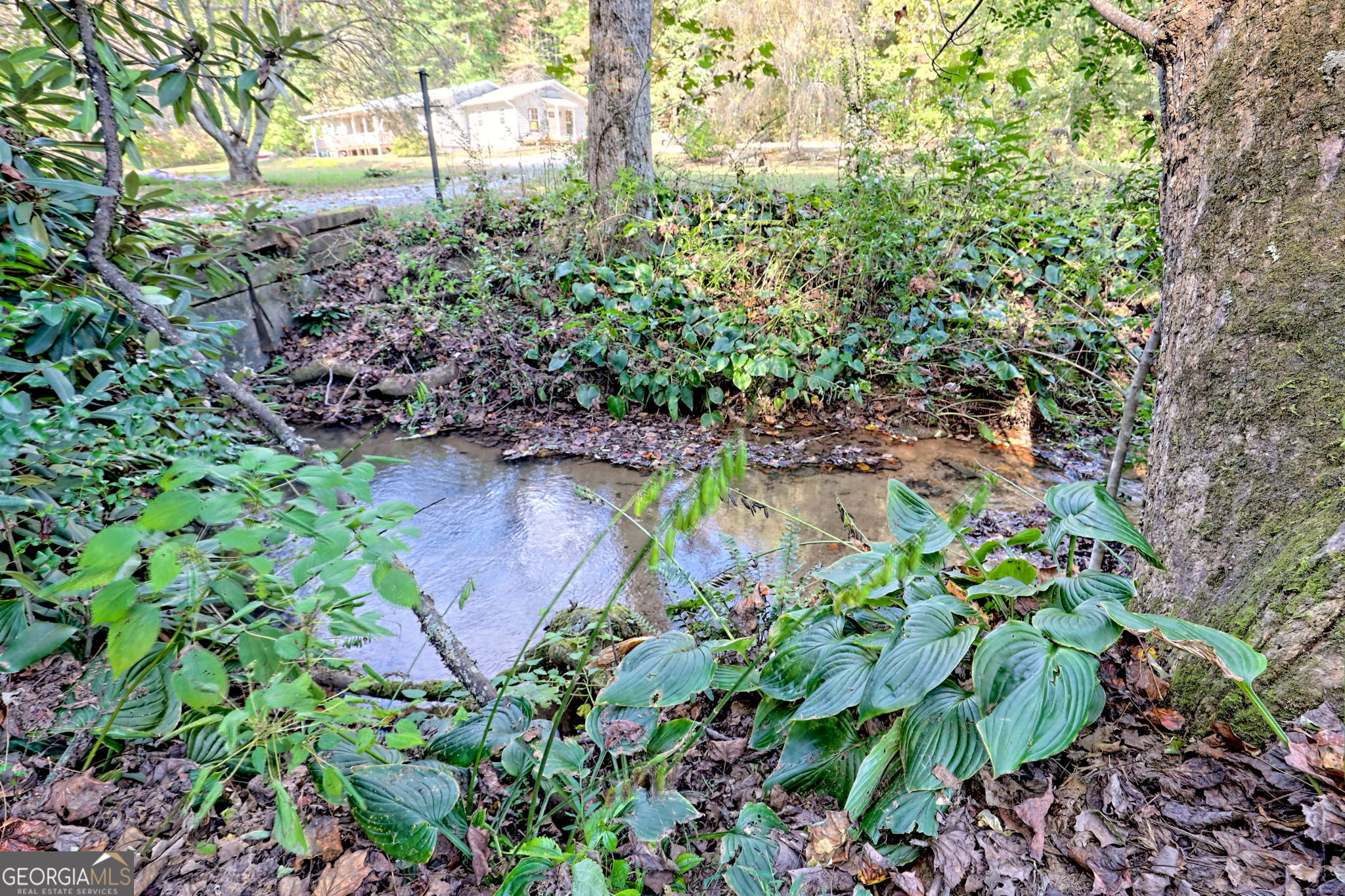 0 Woodall Road Tiger GA 30576