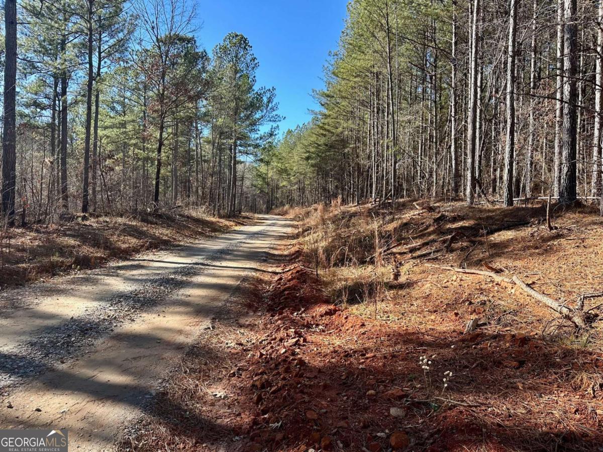 1107 Larmon Forks Road Dahlonega GA 30533