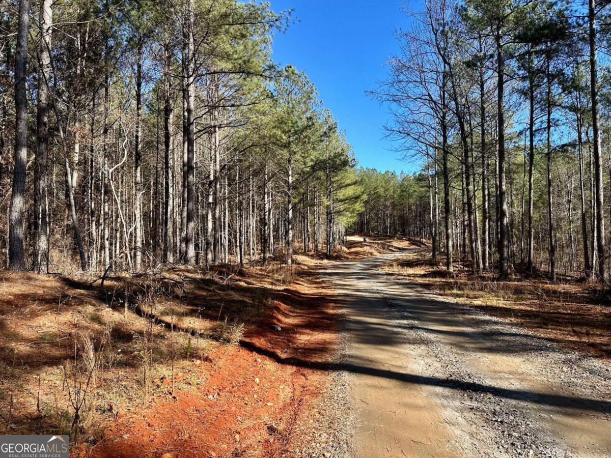 1107 Larmon Forks Road Dahlonega GA 30533