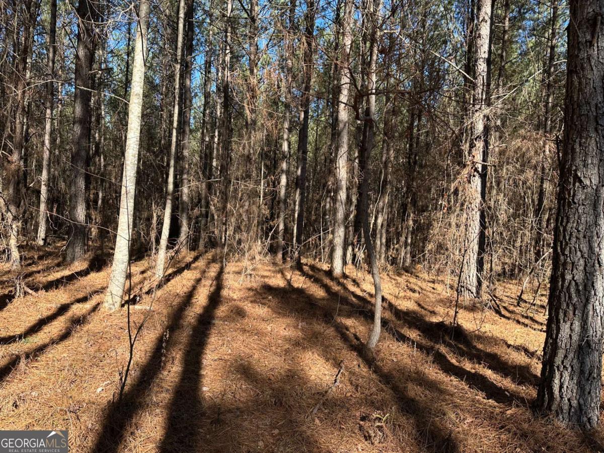 1107 Larmon Forks Road Dahlonega GA 30533