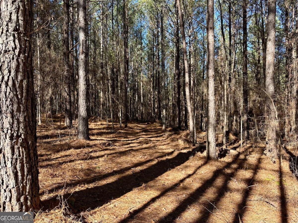 1107 Larmon Forks Road Dahlonega GA 30533