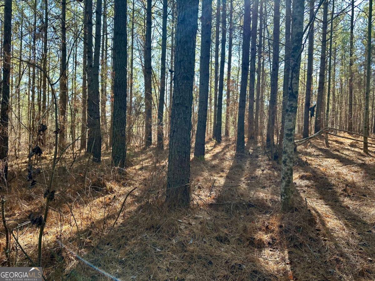 1107 Larmon Forks Road Dahlonega GA 30533