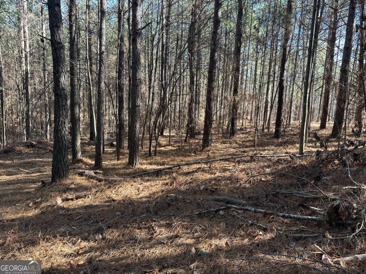 1107 Larmon Forks Road Dahlonega GA 30533