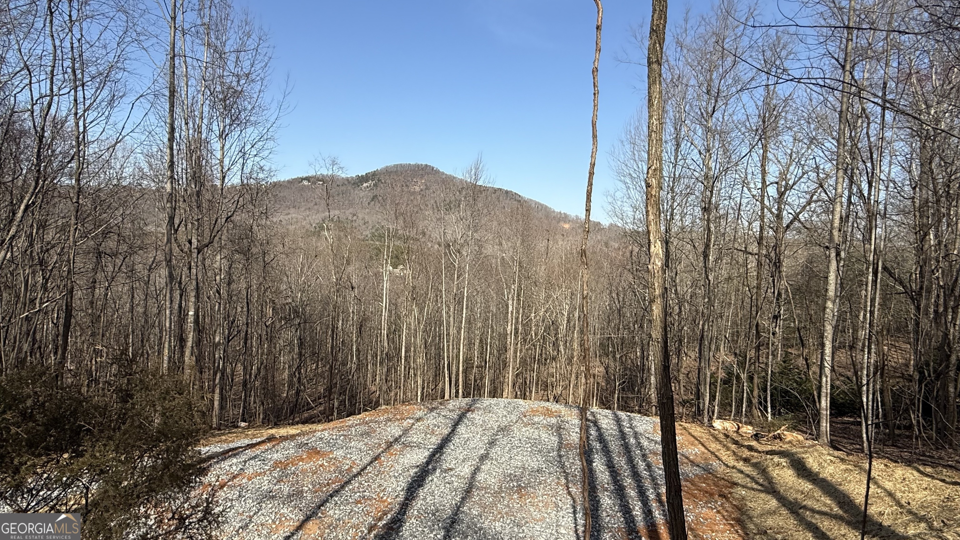 Lot 17 Chalet Sautee Nacoochee GA 30571