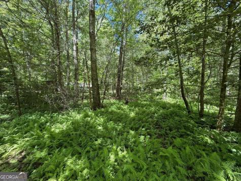 1199 Mountain Cove Road Dahlonega GA 30533