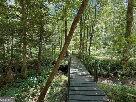1199 Mountain Cove Road Dahlonega GA 30533