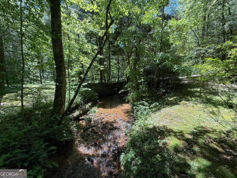 1199 Mountain Cove Road Dahlonega GA 30533
