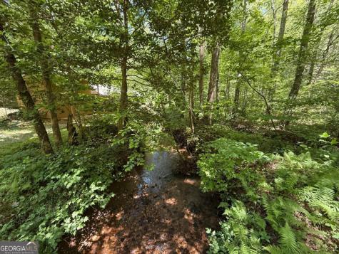 1199 Mountain Cove Road Dahlonega GA 30533
