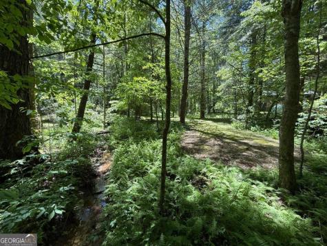 1199 Mountain Cove Road Dahlonega GA 30533