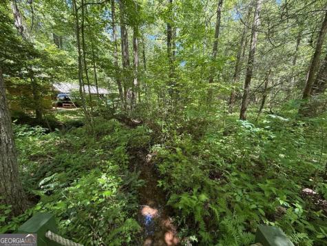 1199 Mountain Cove Road Dahlonega GA 30533