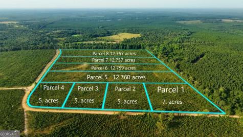 PARCEL 6 Carl Rodgers Road Reynolds GA 31076