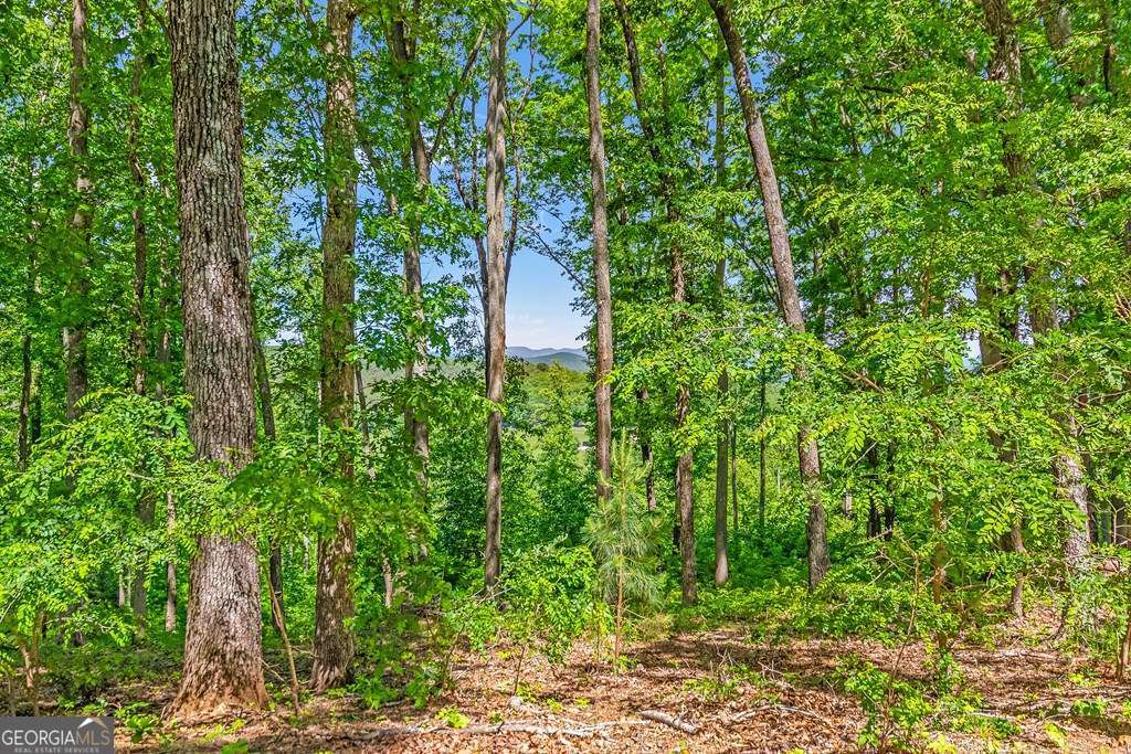 Lot 98 Winding Ridge Blairsville GA 30512