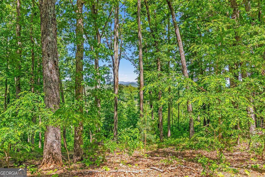 Lot 98 Winding Ridge Blairsville GA 30512