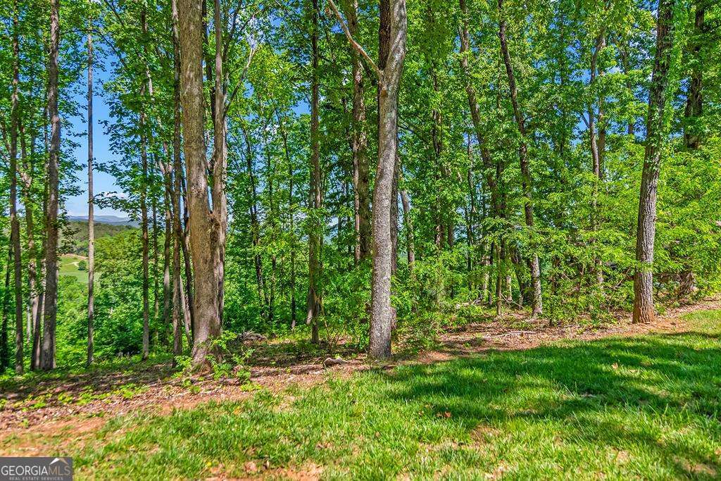 Lot 98 Winding Ridge Blairsville GA 30512