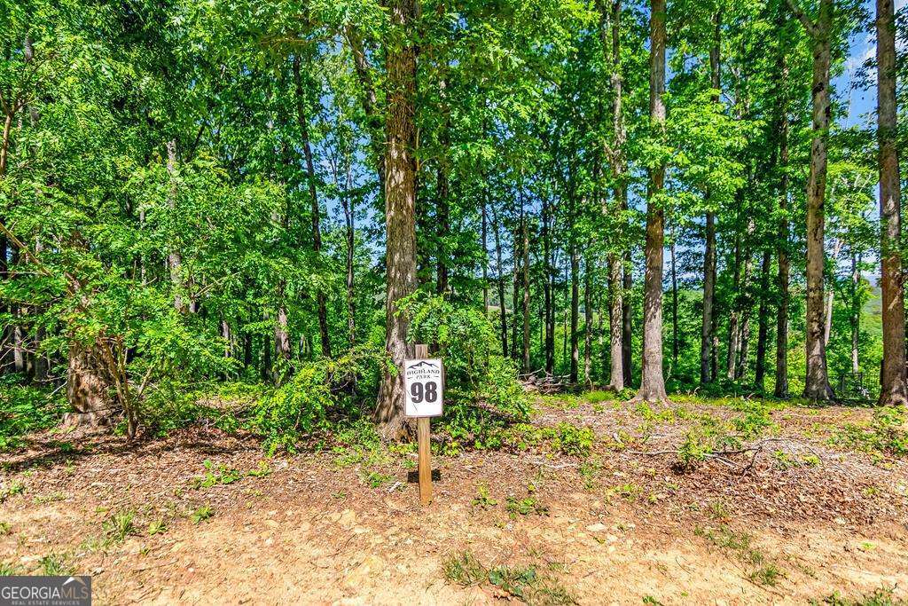 Lot 98 Winding Ridge Blairsville GA 30512