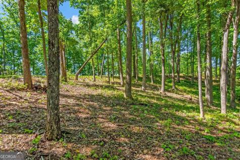 Lot 98 Winding Ridge Blairsville GA 30512