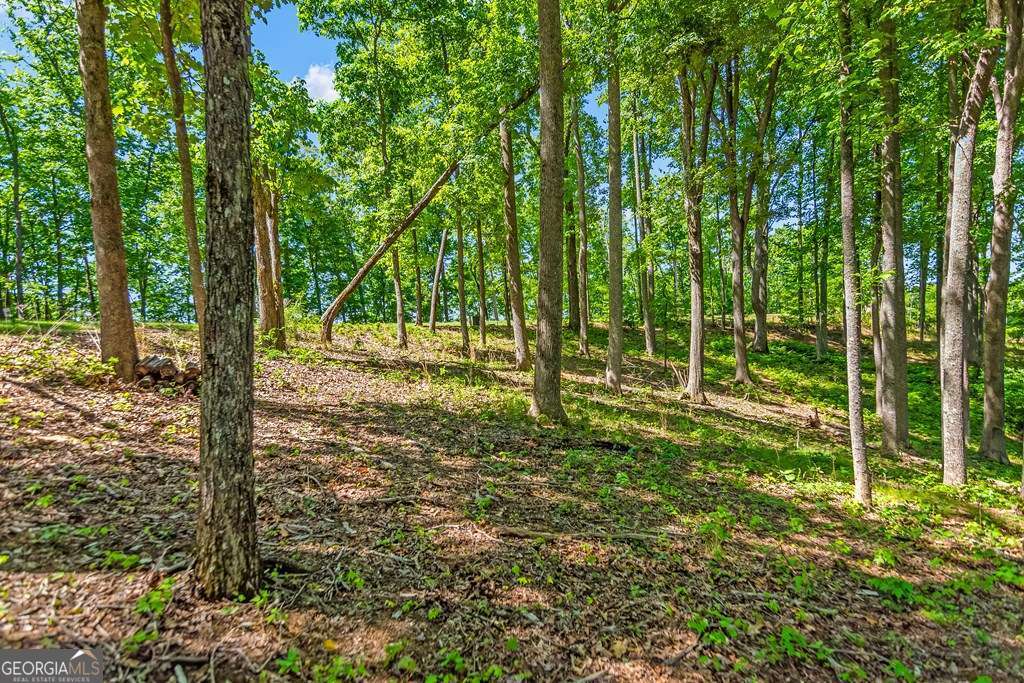 Lot 98 Winding Ridge Blairsville GA 30512