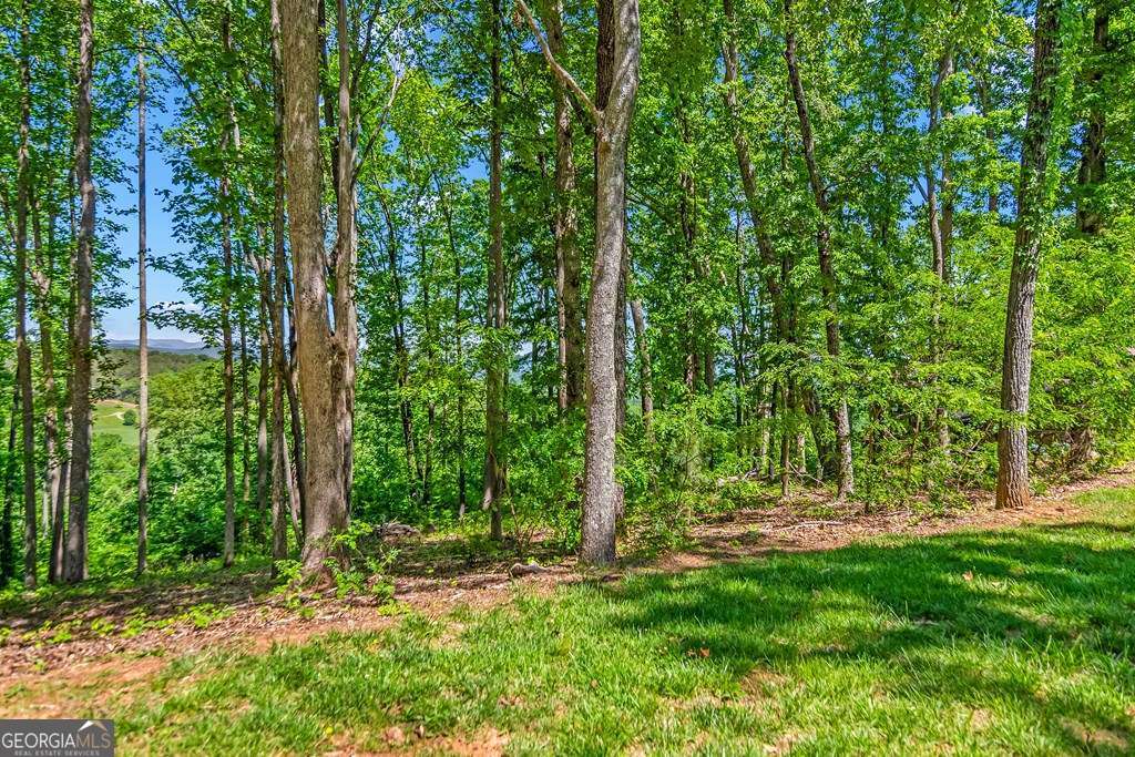 Lot 98 Winding Ridge Blairsville GA 30512