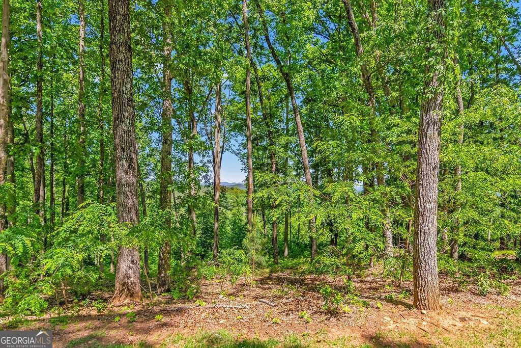 Lot 98 Winding Ridge Blairsville GA 30512