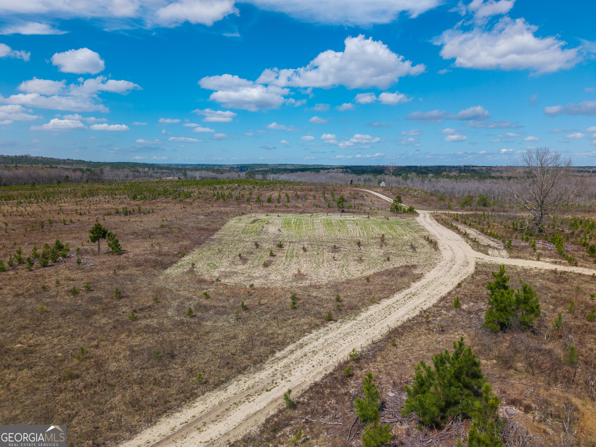 3 Laurel Branch Road Gordon GA 31031