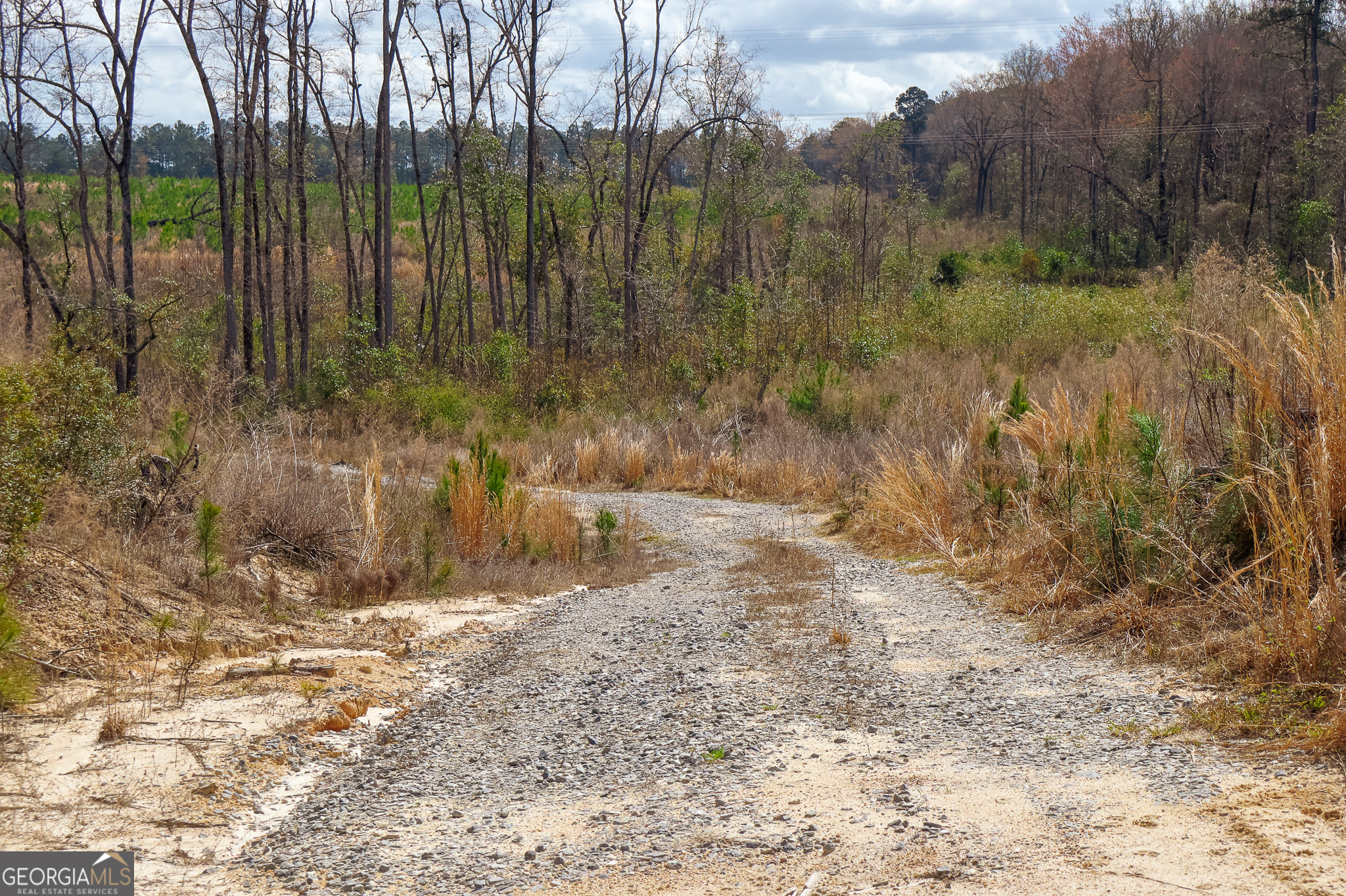 3 Laurel Branch Road Gordon GA 31031
