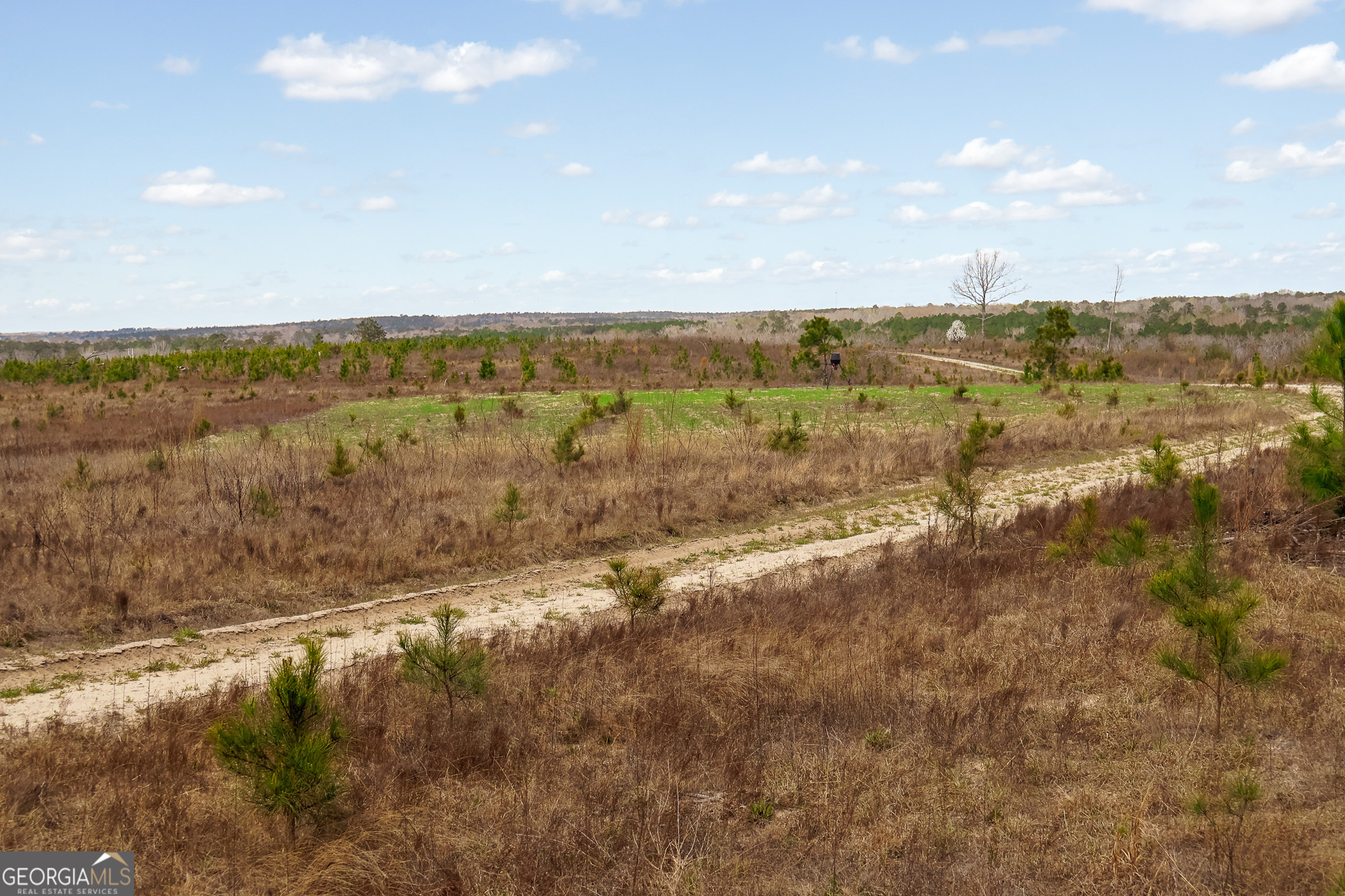 3 Laurel Branch Road Gordon GA 31031