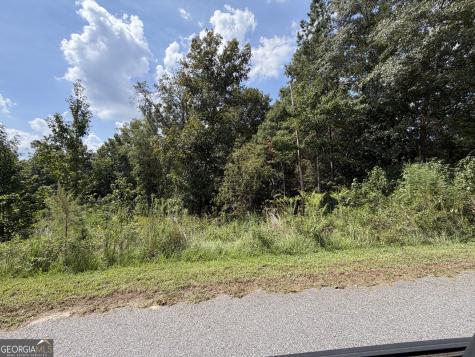 304 Shelter Cove Lizella GA 31052