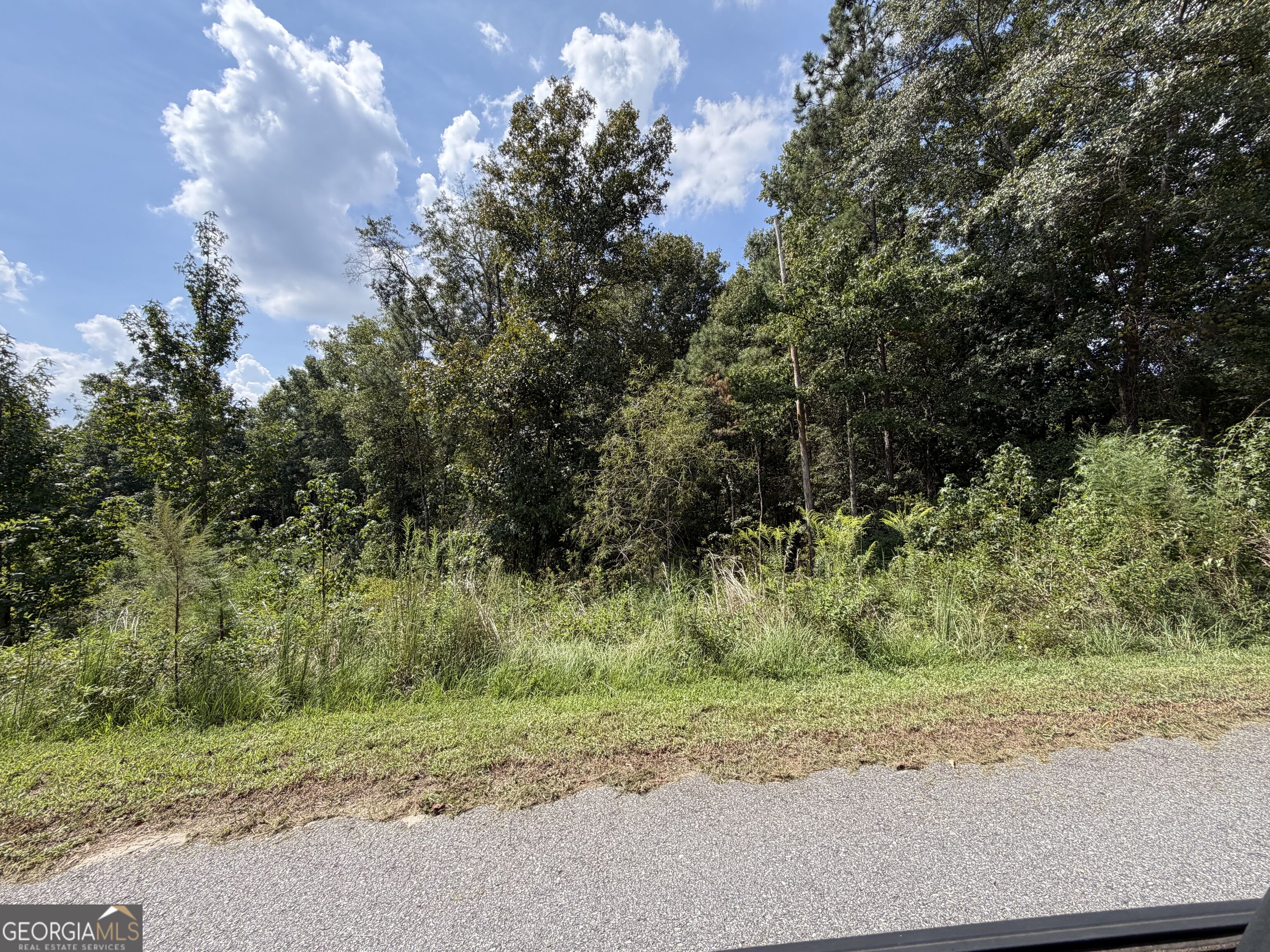 304 Shelter Cove Lizella GA 31052