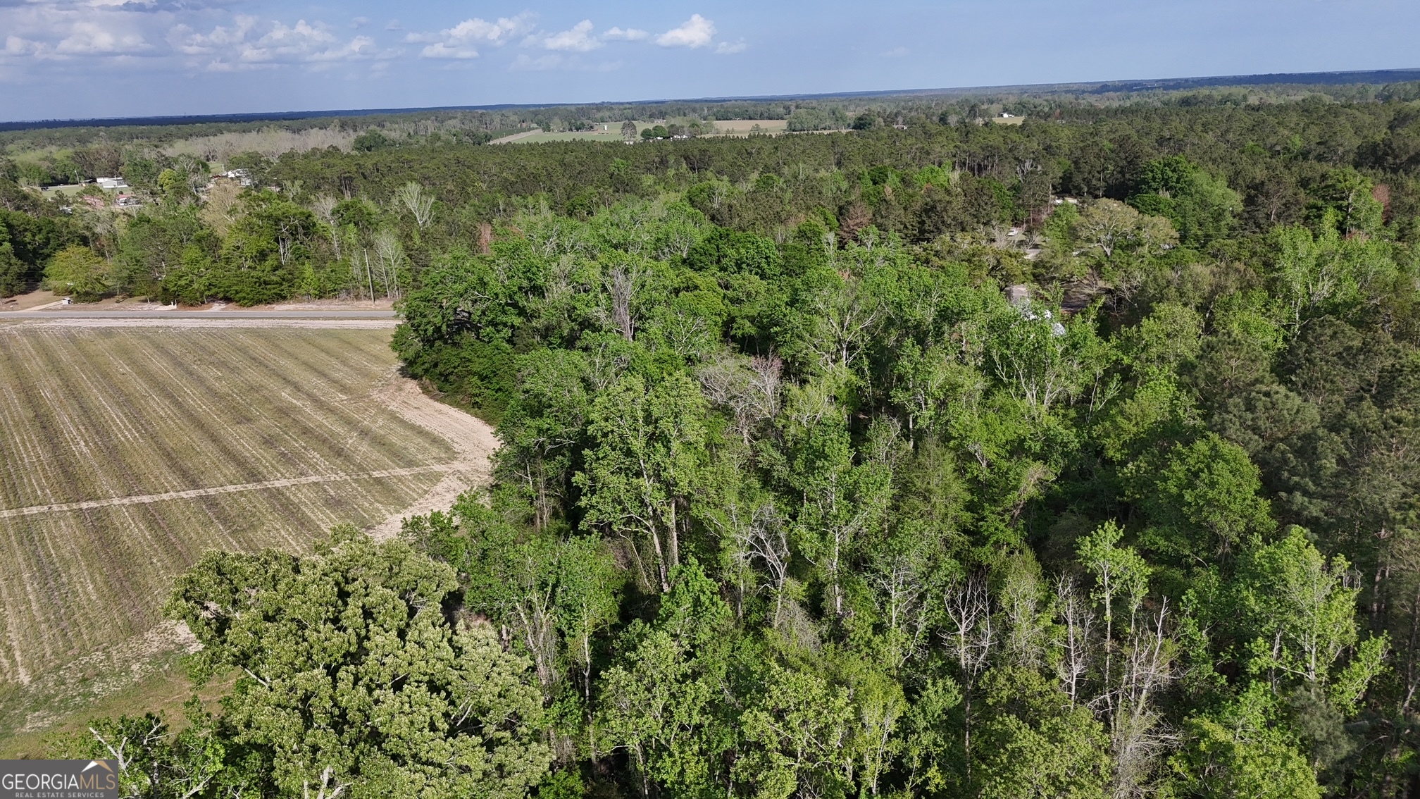 Tract 4 Spring Branch Road Baxley GA 31513