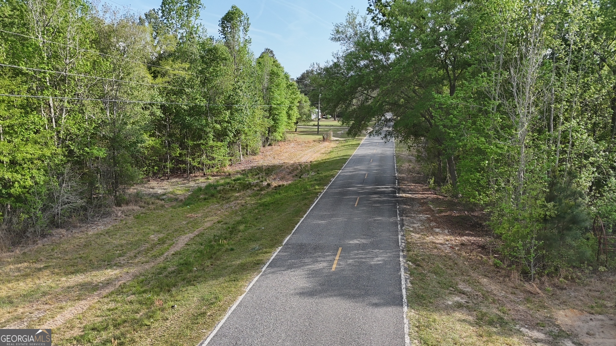 Tract 4 Spring Branch Road Baxley GA 31513