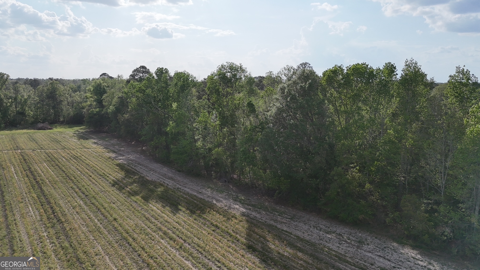 Tract 4 Spring Branch Road Baxley GA 31513