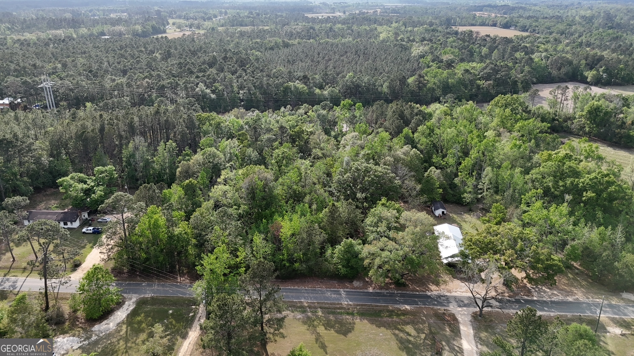 Tract 4 Spring Branch Road Baxley GA 31513