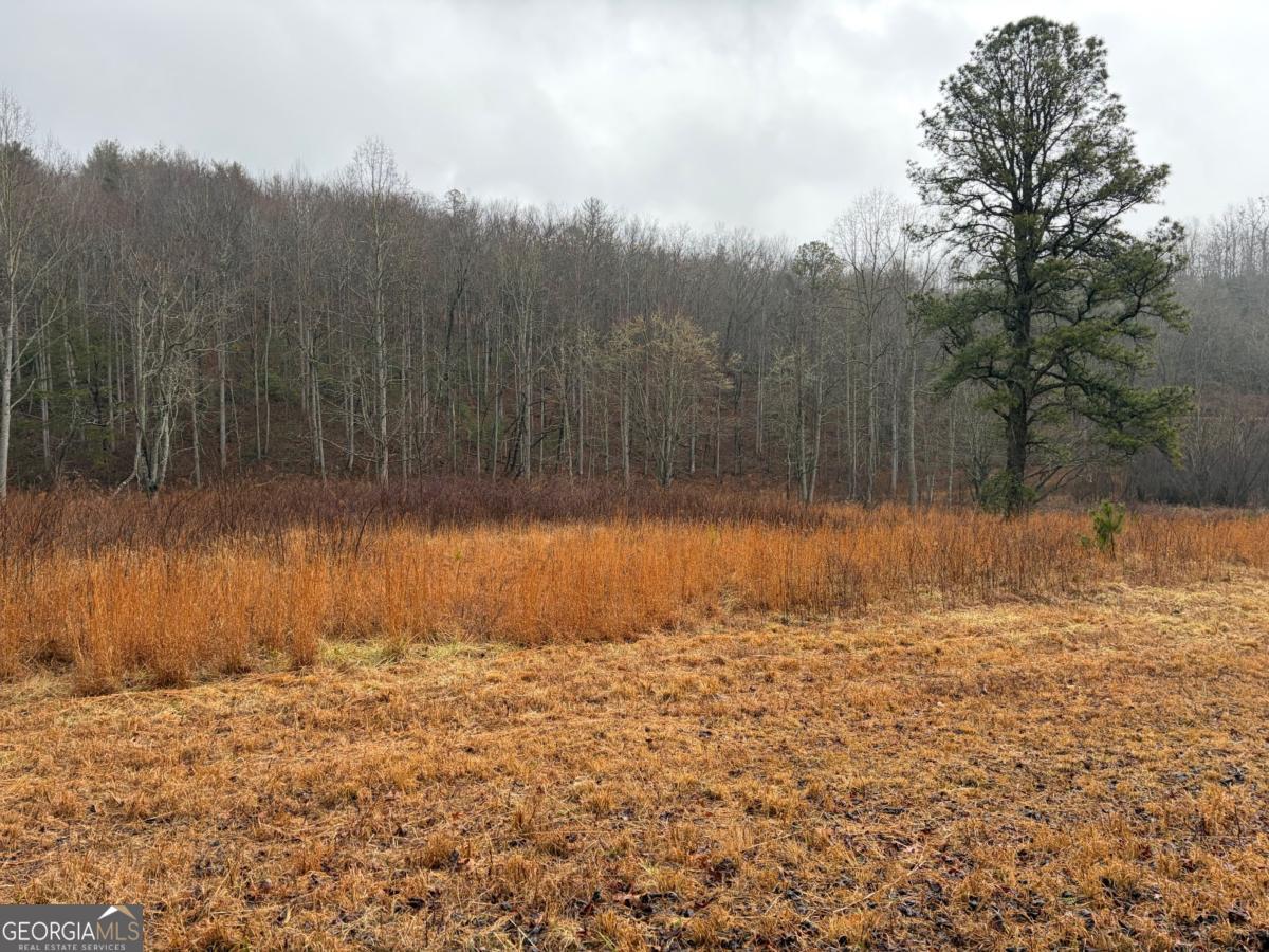 Lot 42 Whisper Woods Road Hiawassee GA 30546