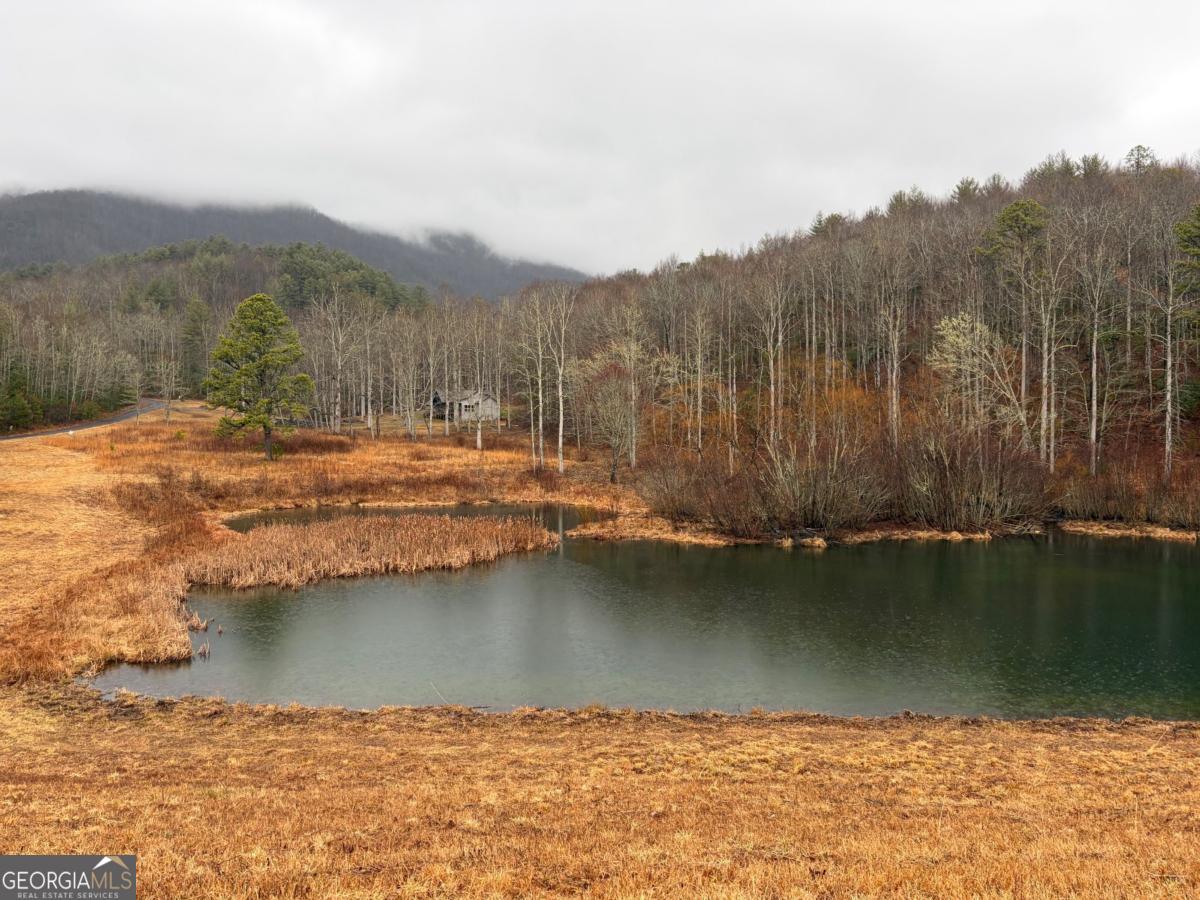 Lot 42 Whisper Woods Road Hiawassee GA 30546