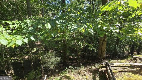 Lot 40 Double Knob Hayesville NC 28904