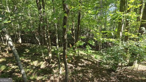 Lot 40 Double Knob Hayesville NC 28904