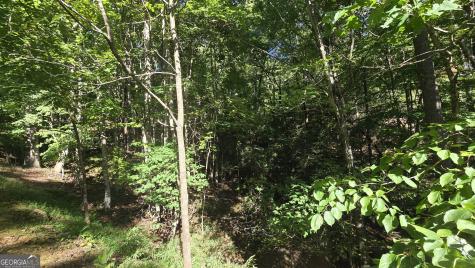 Lot 40 Double Knob Hayesville NC 28904