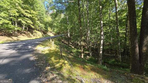 Lot 40 Double Knob Hayesville NC 28904