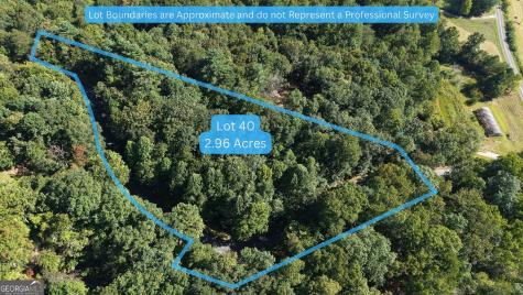Lot 40 Double Knob Hayesville NC 28904