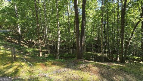 Lot 40 Double Knob Hayesville NC 28904