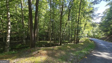 Lot 40 Double Knob Hayesville NC 28904